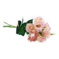 Floristik24 Umělé květiny Eustoma Lisianthus růžová krémová 52cm 5ks