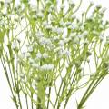 Floristik24 Gypsophila gypsophila umělá v svazku bílá 46cm 5ks