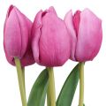 Floristik24 Umělé květiny tulipán růžový, jarní květina L48cm svazek 5 ks
