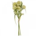 Floristik24 Umělé květiny bílá allium dekorace okrasná cibule 34cm 3ks v svazku