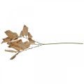 Floristik24 Umělá rostlina podzimní dekorace větev listy vyprané bílé L70cm