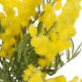 Floristik24 Umělá rostlina, stříbrná akát, deco mimóza žlutá, 39cm 3ks