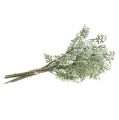 Floristik24 Umělé rostliny stříbrný list bílo-zelený 40cm 6ks