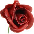 Floristik24 Umělé růže Bordeaux Wax Roses Deco Roses Wax Ø6cm 18ks