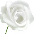 Floristik24 Umělé růže krémový vosk růže deko vosk růže Ø6cm 18 kusů