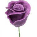 Floristik24 Umělé růže fialový vosk růže deco roses vosk Ø6cm 18ks