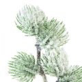 Floristik24 Umělá modřínová větev zelená ozdobná větev se sněhem L25cm