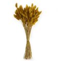 Floristik24 Dekorativní tráva zlatožlutá Lagurus 100gr