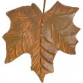 Floristik24 Podzimní dekorace listy kovového vzhledu rzi L20cm 4ks