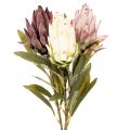 Floristik24 Umělá květina Protea Leucadendron 100cm 3 ks