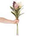 Umělá květina Protea Leucadendron 100cm 3 ks | Floristik24.cz
