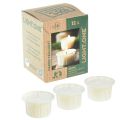 Floristik24 Light.one papírové čajové svíčky Přírodní veganské balení bez plastů po 12 kusech
