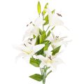Floristik24 Umělé lilie, 6 bílých květů, realisticky kvetoucí větev, 66 cm
