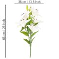 Umělé lilie, 6 bílých květů, realisticky kvetoucí větev, 66 cm | Floristik24.cz
