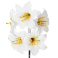 Floristik24 Umělý květ lilie, bílý, na drátu, střední velikost, 35 cm, 5 kusů