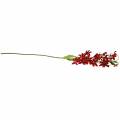 Floristik24 Lily červená 82 cm