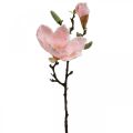 Floristik24 Magnolia Pink Umělá květinová dekorace Větev z umělé květiny V40cm