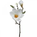 Floristik24 Magnolia bílá umělá květina s poupaty na ozdobné větvi V40cm
