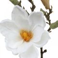 Floristik24 Magnolia bílá umělá květina s poupaty na ozdobné větvi V40cm