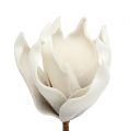 Floristik24 Květ magnólie z molitanu šedý, bílý Ø10cm L26cm 4ks