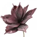 Floristik24 Umělá květina magnólie fialová pěnová květina Ø10cm 6ks