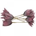 Floristik24 Umělá květina magnólie fialová pěnová květina Ø10cm 6ks