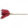 Floristik24 Umělá magnólie červená umělá květina pěnová květinová dekorace Ø10cm 6ks