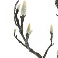 Floristik24 Jarní magnólie větev Bud Umělá větev Hnědá Bílá L100cm