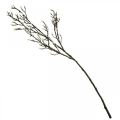 Floristik24 Umělá větev z magnólie Jarní dekorace větev s poupaty Hnědá Bílá L135cm