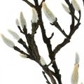 Floristik24 Umělá větev z magnólie Jarní dekorace větev s poupaty Hnědá Bílá L135cm