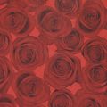 Manžetový papír hedvábný papír červené růže 25cm 100m