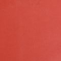 Floristik24 Manžetový papír květinový papír hedvábný papír červený 25cm 100m