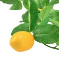 Floristik24 Středomořská dekorace girlanda citron dekorace umělá 165cm