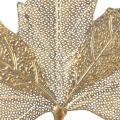 Floristik24 Kovová nástěnná dekorace Javorový list svícen Zlatý starožitný 42cm × 39cm