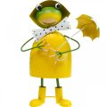 Floristik24 Dekorativní postava žáby zahradní dekorace dešťová žába kovová V35cm