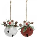 Floristik24 Zvonky s červenkami, ptačí dekorace, zima, dekorace zvonky na Vánoce bílá / červená Ø9cm H10cm sada 2 ks