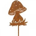 Floristik24 Zahradní kůl houba rez muchovník podzimní dekorace zahrada 47cm