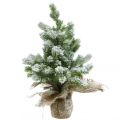 Floristik24 Mini vánoční stromeček v pytli zasněžený Ø25cm V42cm