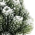 Floristik24 Mini vánoční stromek v květináči uměle zasněžovaný Ø14cm V24cm
