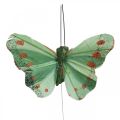 Floristik24 Mini motýl na drátě červený, zelený 6,5cm 12ks