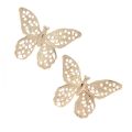 Floristik24 Mini motýlci kovová rozptylová dekorace zlatá 3cm 50ks