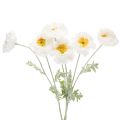 Floristik24 Umělý mák, bílý, dlouhý stonek, 78 cm, 3 kusy