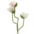 Floristik24 Umělý mák, hedvábný květ bílo-růžový L55/60/70cm sada 3 ks