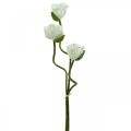 Floristik24 Umělá květina Umělá mák Kukuřice Růže bílá L55/60/70cm Sada 3 ks