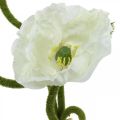 Floristik24 Umělá květina Umělá mák Kukuřice Růže bílá L55/60/70cm Sada 3 ks