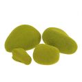 Floristik24 Mechové kamínky mix zelené 5,5-13cm 12ks