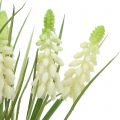 Floristik24 Svazek hroznových hyacintů bílý 30cm 15p