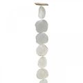 Floristik24 Shell Garland Mother of Pearl Shell Garland Capiz 195cm