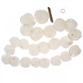 Shell Garland Mother of Pearl Shell Garland Capiz 195cm | Floristik24.cz