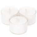 Floristik24 Noční svíčky Tealights White v plastovém tácku 8 hodin 50 kusů